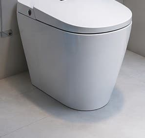 Smart Toilets